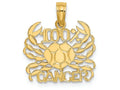 FJC Finejewelers 14k Yellow Gold 100% Cancer Charm