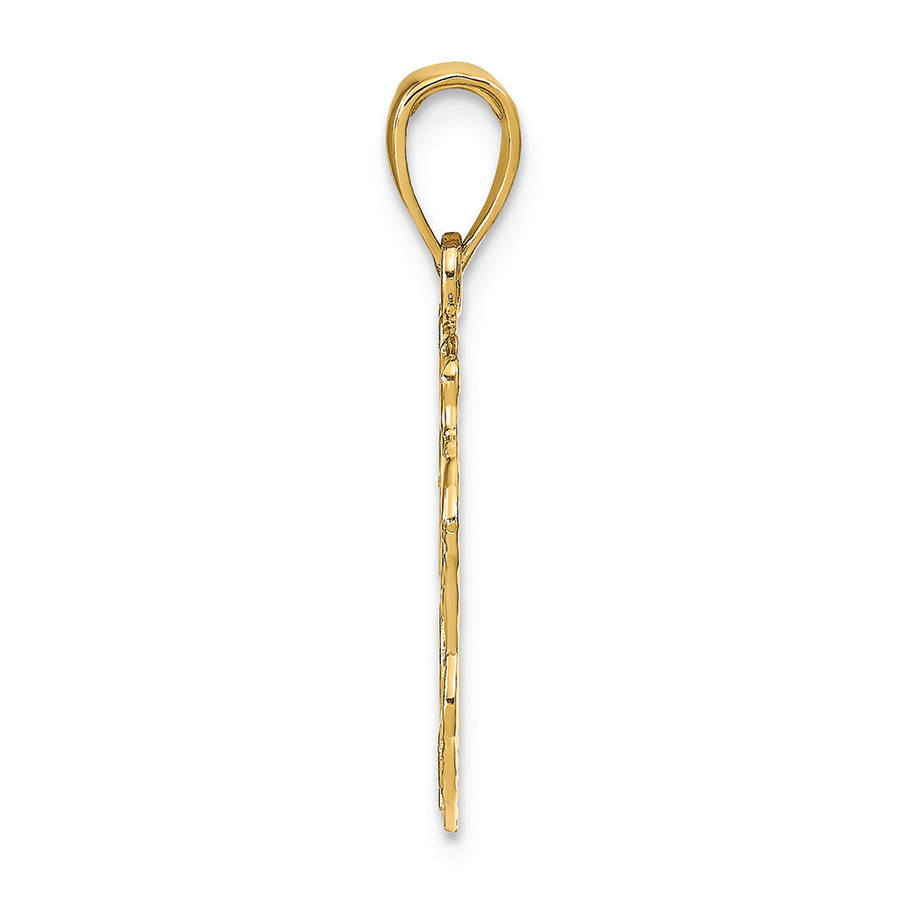 FJC Finejewelers 14k Yellow Gold Lion Head Charm