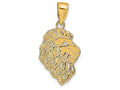 FJC Finejewelers 14k Yellow Gold Lion Head Charm