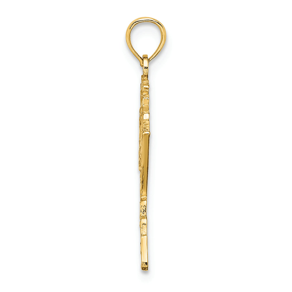 FJC Finejewelers 14k Yellow Gold Polished Textured Alaska Map Charm