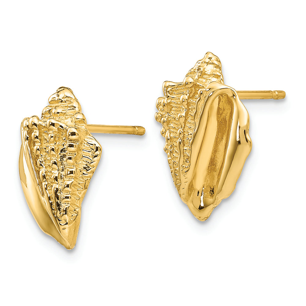 FJC Finejewelers 14k Yellow Gold Conch Shell Earrings