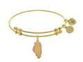 Brass With Yellow Finish Illinois Charm For Angelica Collection Bangle