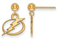 Sterling Silver Gp Nhl Logoart Tampa Bay Lightning Earrings Dangle Ball