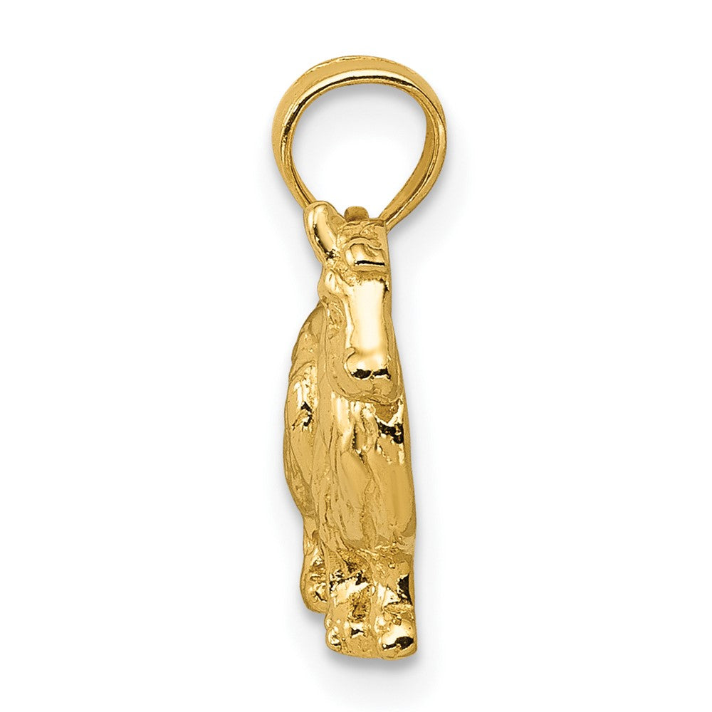 FJC Finejewelers 10 kt Yellow Gold Collie Dog Charm 15 x 17 mm