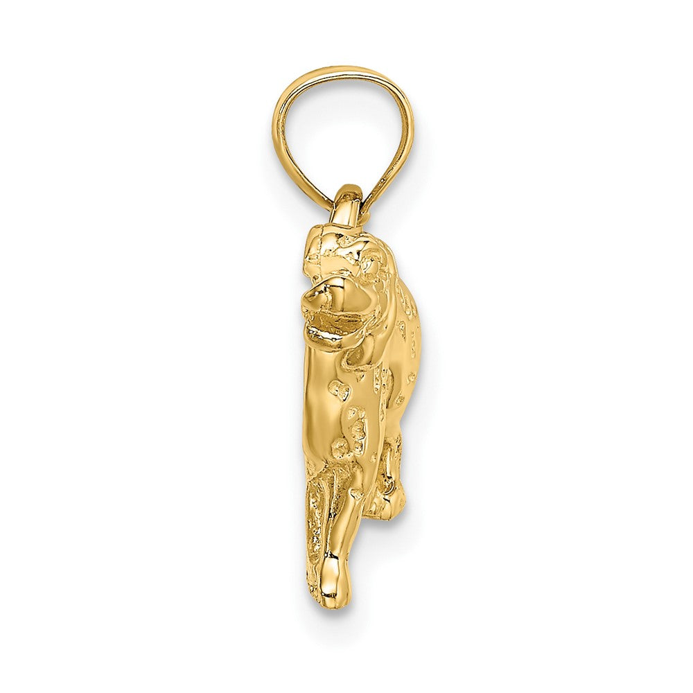 FJC Finejewelers 10 kt Yellow Gold Dalmatian Dog Charm 17 mm