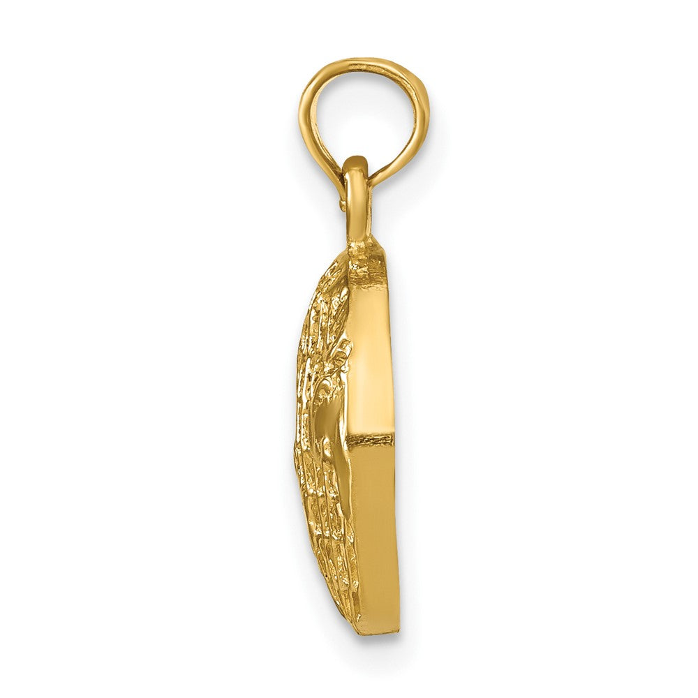 FJC Finejewelers 10 kt Yellow Gold Polished Globe Charm 20 x 13 mm