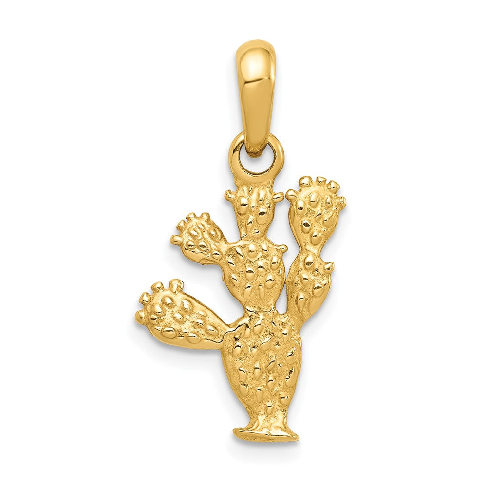 FJC Finejewelers 10 kt Yellow Gold 3-D Cactus Charm 26 x 14 mm