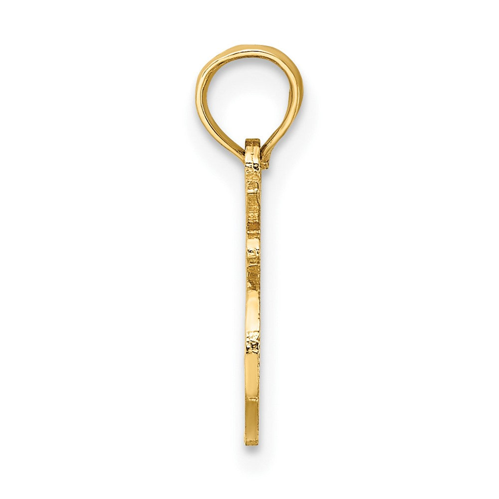 FJC Finejewelers 10 kt Yellow Gold 100% LEO Zodiac Charm 14 x 15 mm