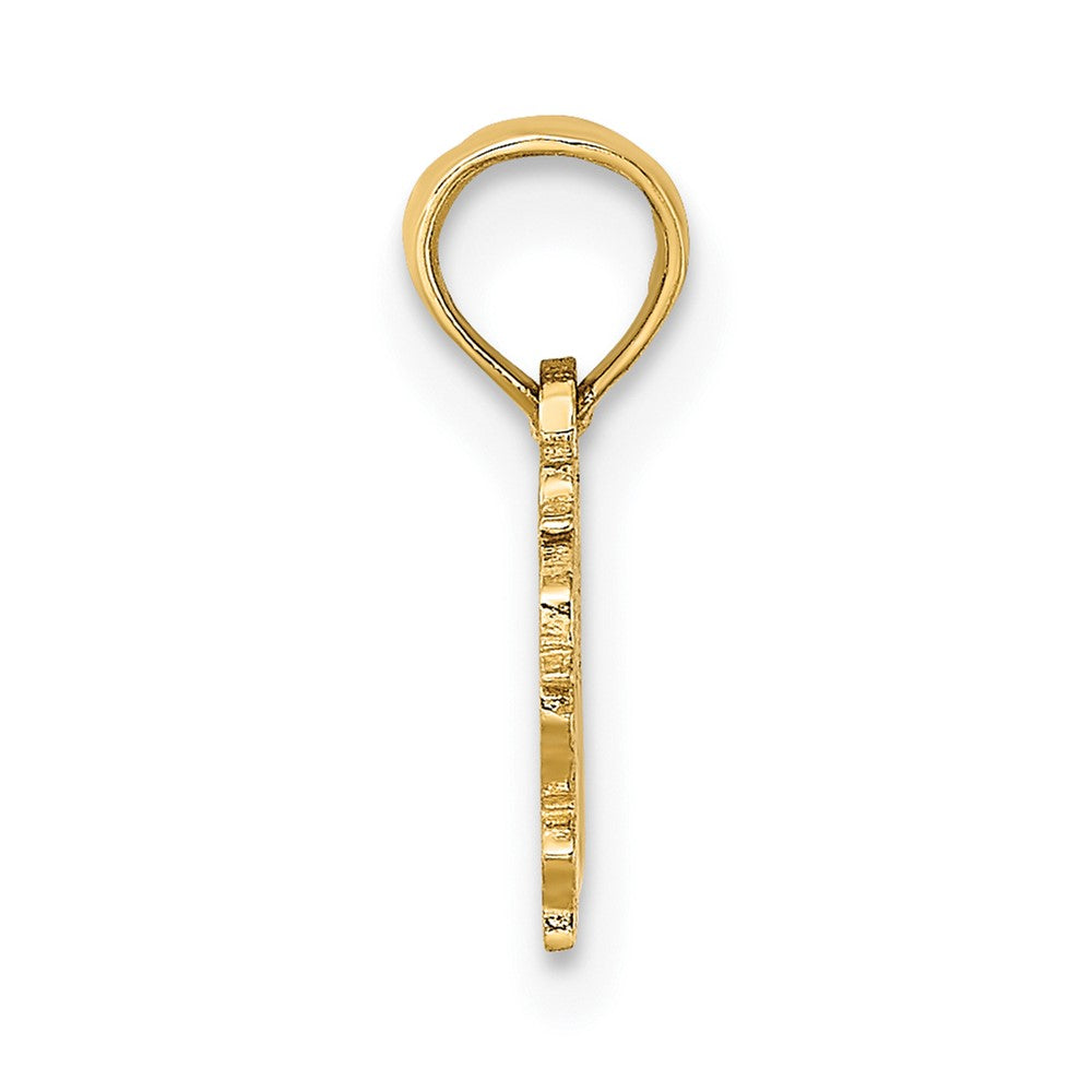 FJC Finejewelers 10 kt Yellow Gold 100% VIRGO Zodiac Charm 11 x 14 mm