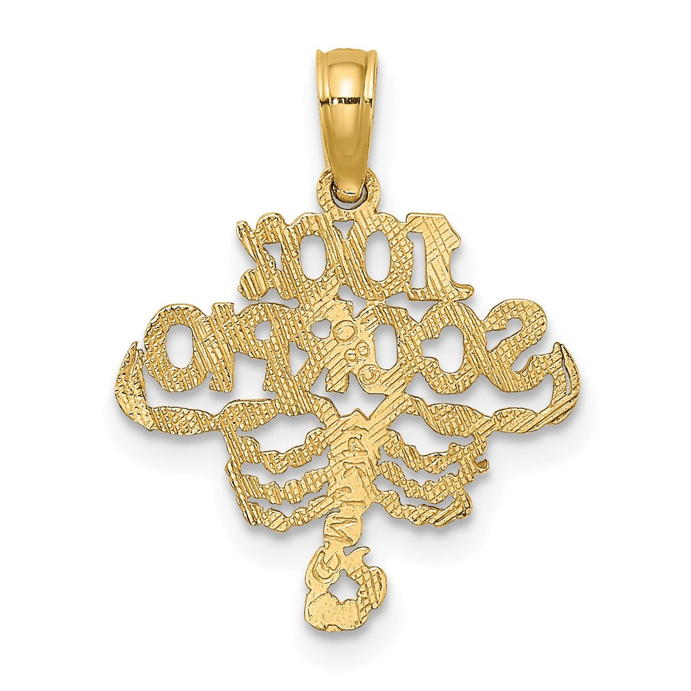 FJC Finejewelers 10 kt Yellow Gold 100% SCORPIO Zodiac Charm 18 x 16 mm
