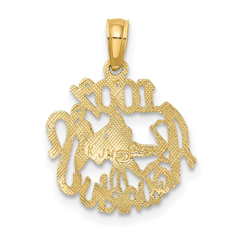 FJC Finejewelers 10 kt Yellow Gold 100% AQUARIUS Zodiac Charm 17 x 14 mm