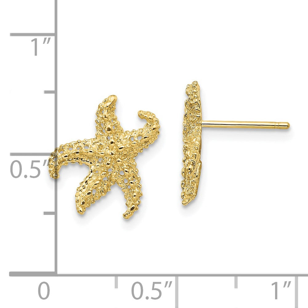 FJC Finejewelers 10 kt Yellow Gold Button Starfish Earrings 14 mm x 11 mm