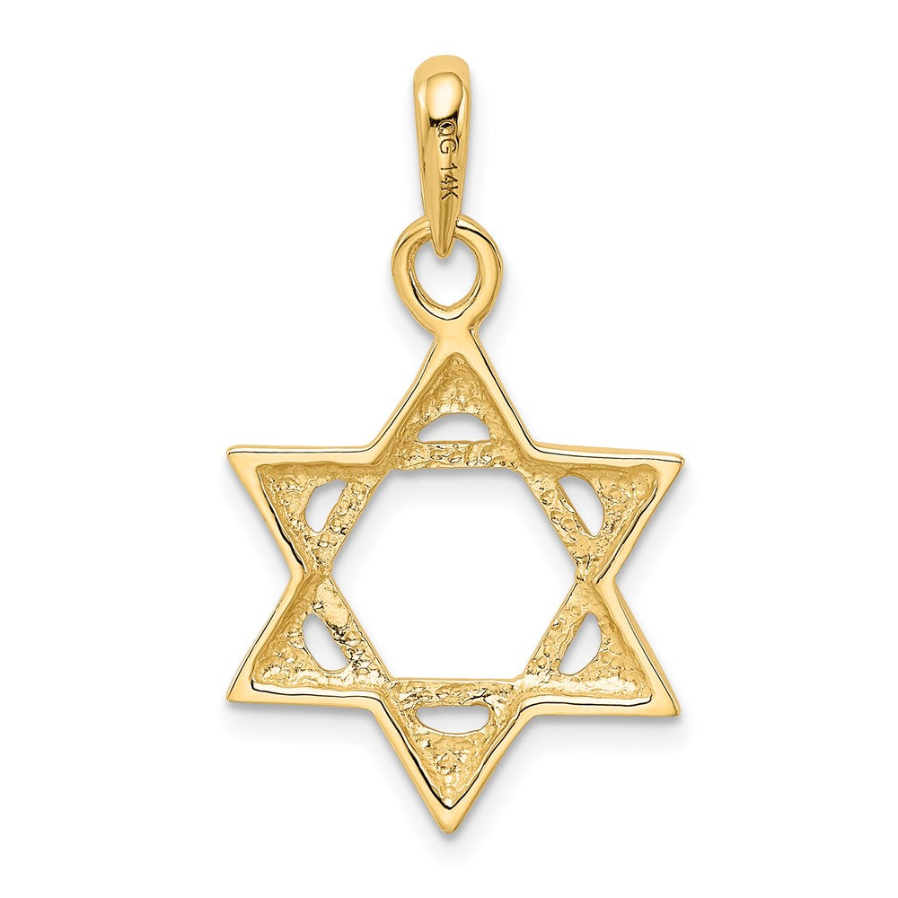 FJC Finejewelers 10 kt Yellow Gold Star of David Charm 31 x 18 mm