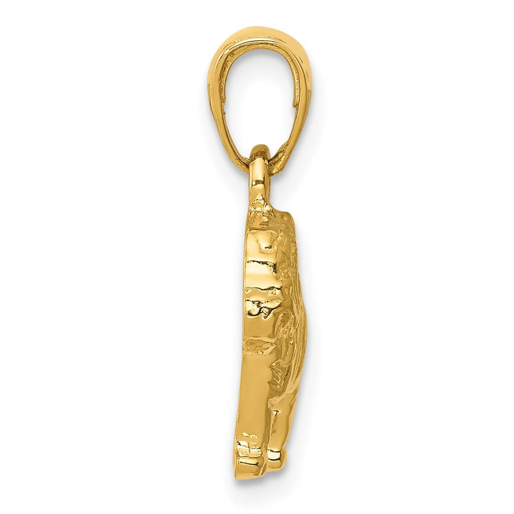 FJC Finejewelers 10 kt Yellow Gold Bulldog Charm 21 x 15 mm