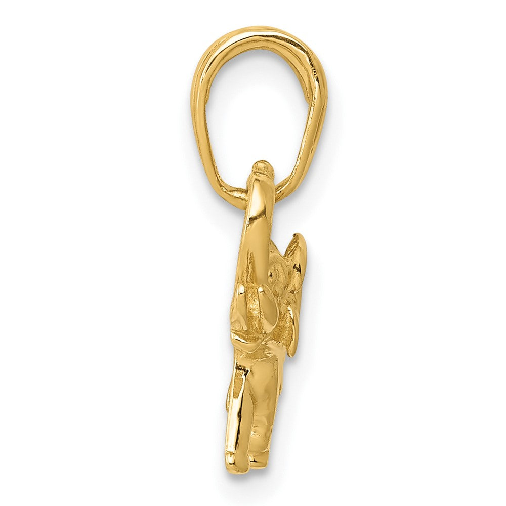 FJC Finejewelers 10 kt Yellow Gold Polished Elephant Charm 13 x 17 mm