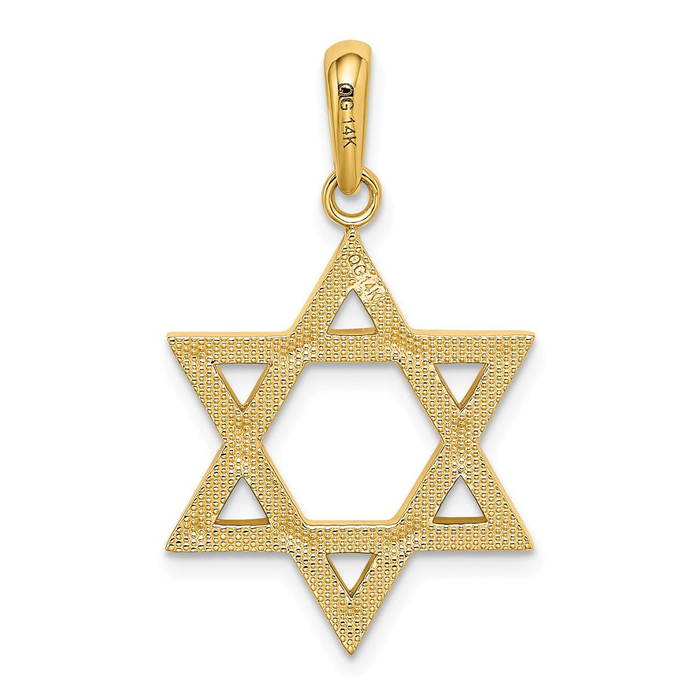 FJC Finejewelers 10 kt Yellow Gold Star of David Charm 33 x 20 mm