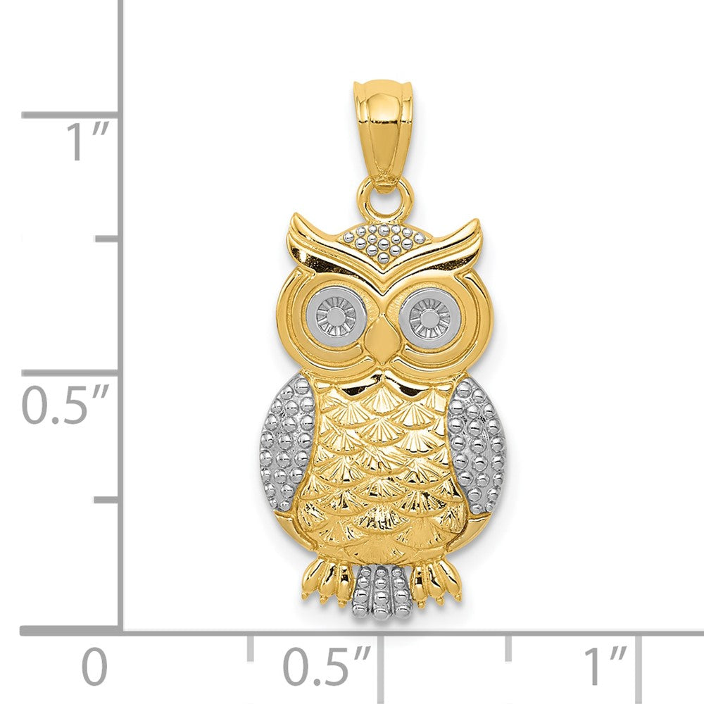FJC Finejewelers 10 kt Yellow Gold and Rhodium Polished and Textured Owl Charm 26 x 12 mm