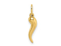 FJC Finejewelers 10 kt Yellow Gold Hollow Italian Horn Charm
