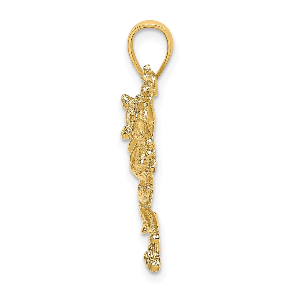 FJC Finejewelers 10 kt Yellow Gold 2-D Textured Frog Charm 28 x 30 mm