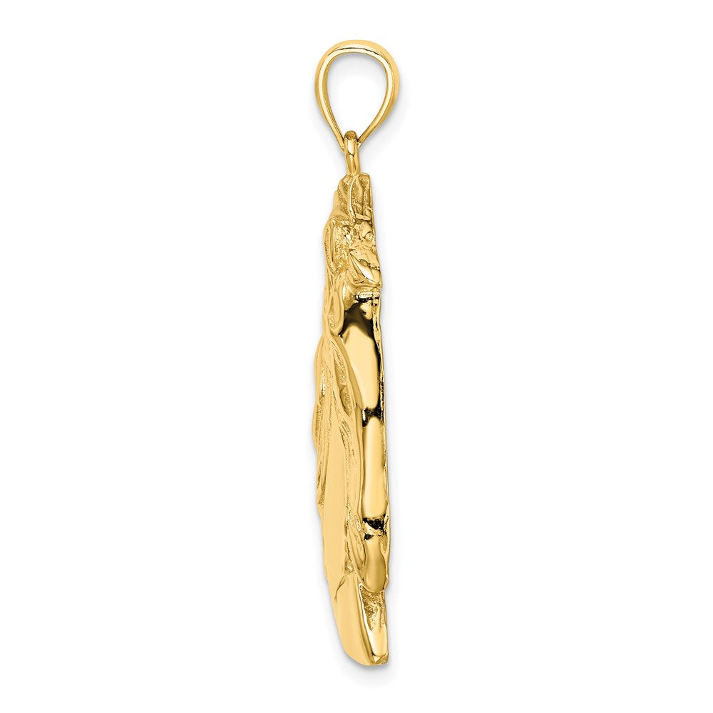 FJC Finejewelers 10 kt Yellow Gold Horse Head with Long Mane Charm 38 x 22 mm