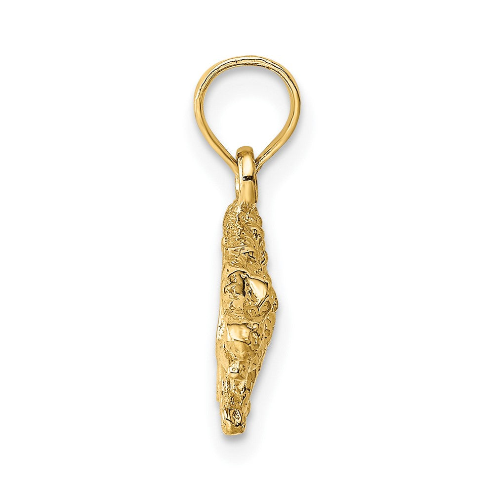 FJC Finejewelers 10 kt Yellow Gold 2-D Textured Alligator Charm 15 x 26 mm