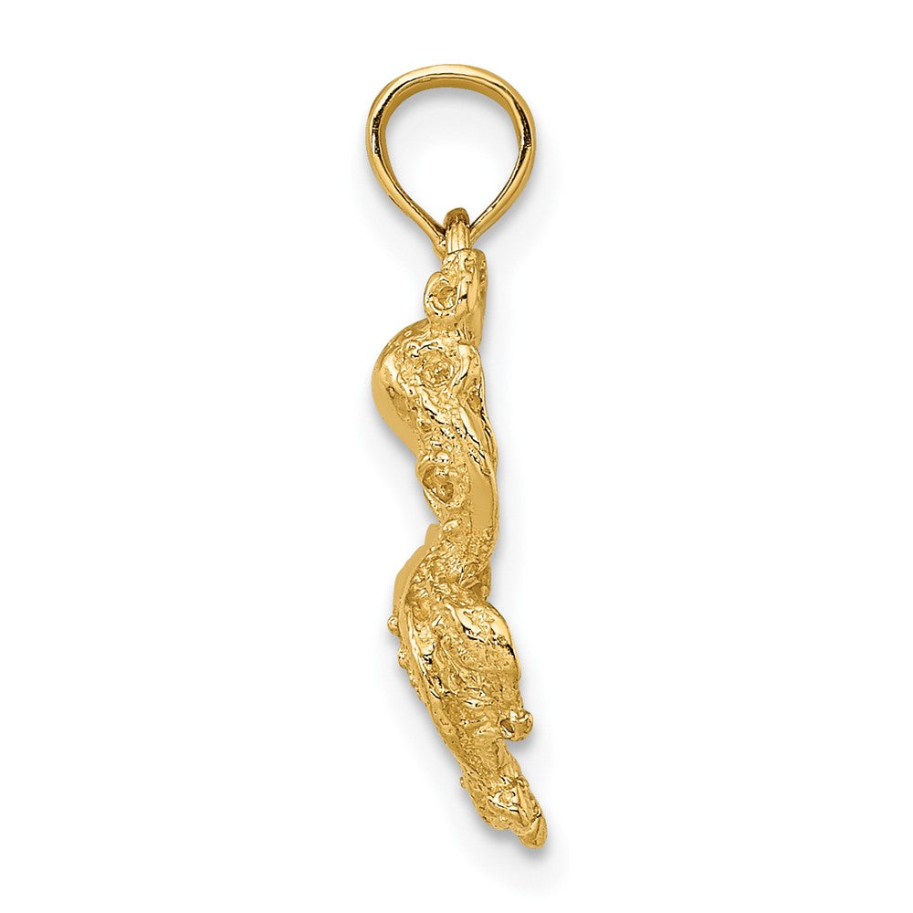 FJC Finejewelers 10 kt Yellow Gold 2-D Textured Octopus Charm 17 x 11 mm