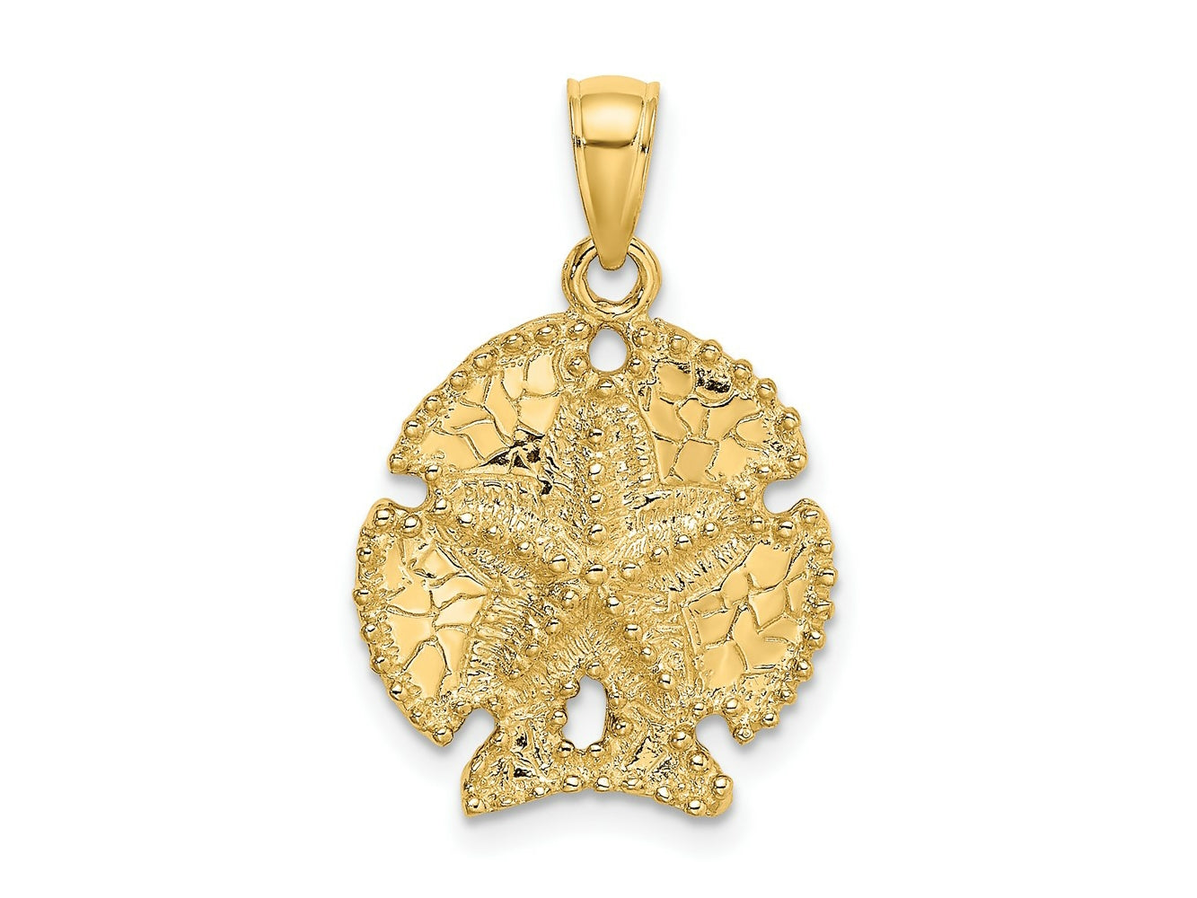 FJC Finejewelers 10 kt Yellow Gold 2-D Sand Dollar W/ Star Charm 19 x 17 mm