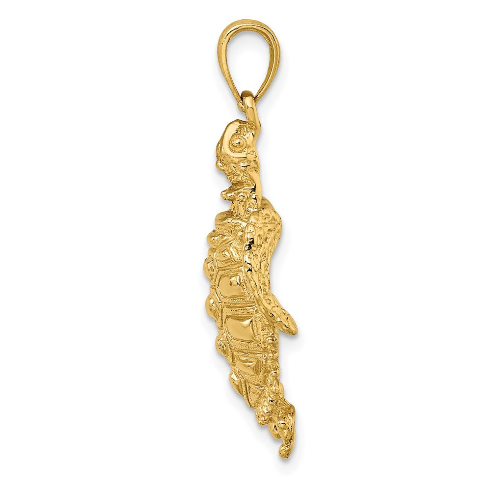 FJC Finejewelers 10 kt Yellow Gold 2-D Sea Turtle W/ Spiny Shell Charm 25 x 19 mm