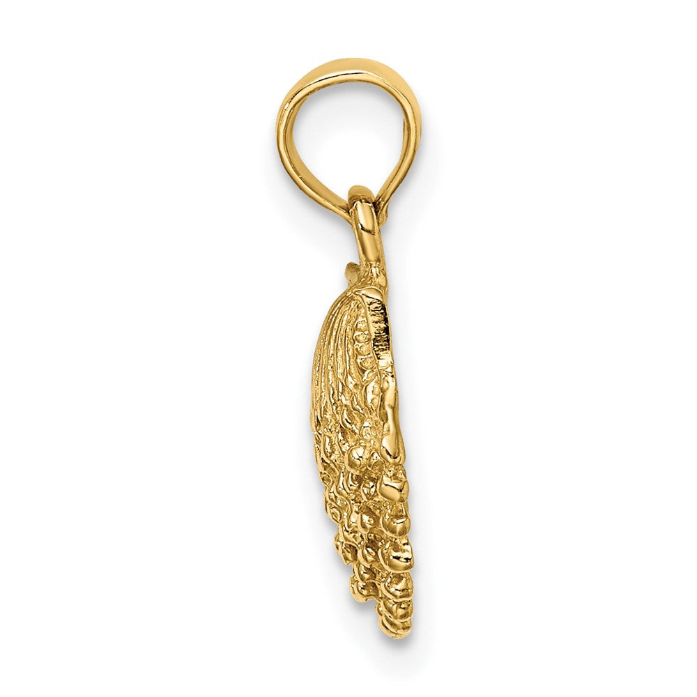 FJC Finejewelers 10 kt Yellow Gold 2-D Beaded Scallop Shell Charm 11 x 10 mm