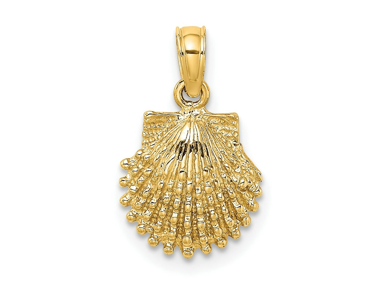 FJC Finejewelers 10 kt Yellow Gold 2-D Beaded Scallop Shell Charm 11 x 10 mm