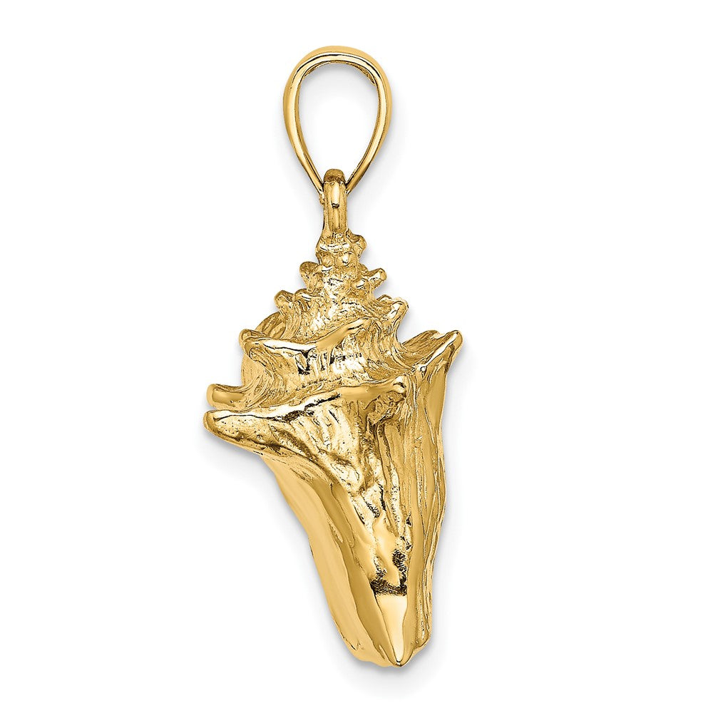 FJC Finejewelers 10 kt Yellow Gold 3-D Conch Shell Charm 19 x 15 mm