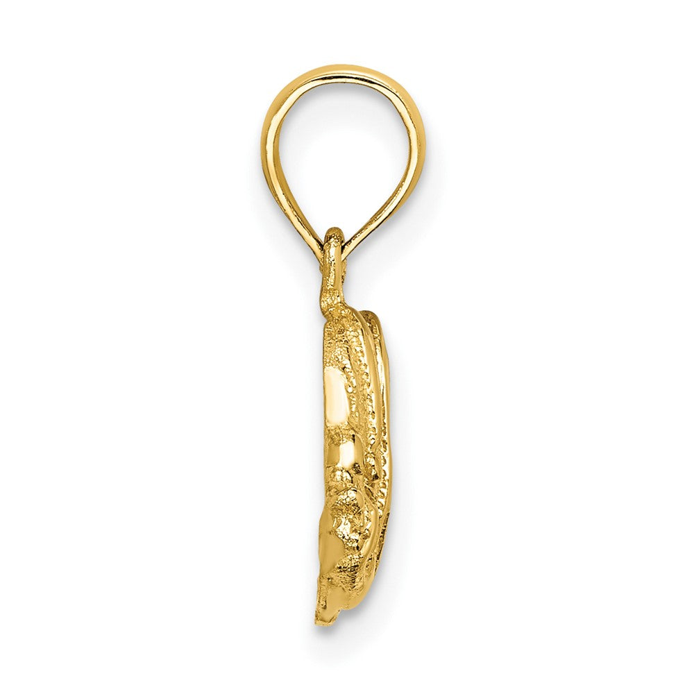 FJC Finejewelers 10 kt Yellow Gold Polished Engraved Fish Charm 10 x 17 mm