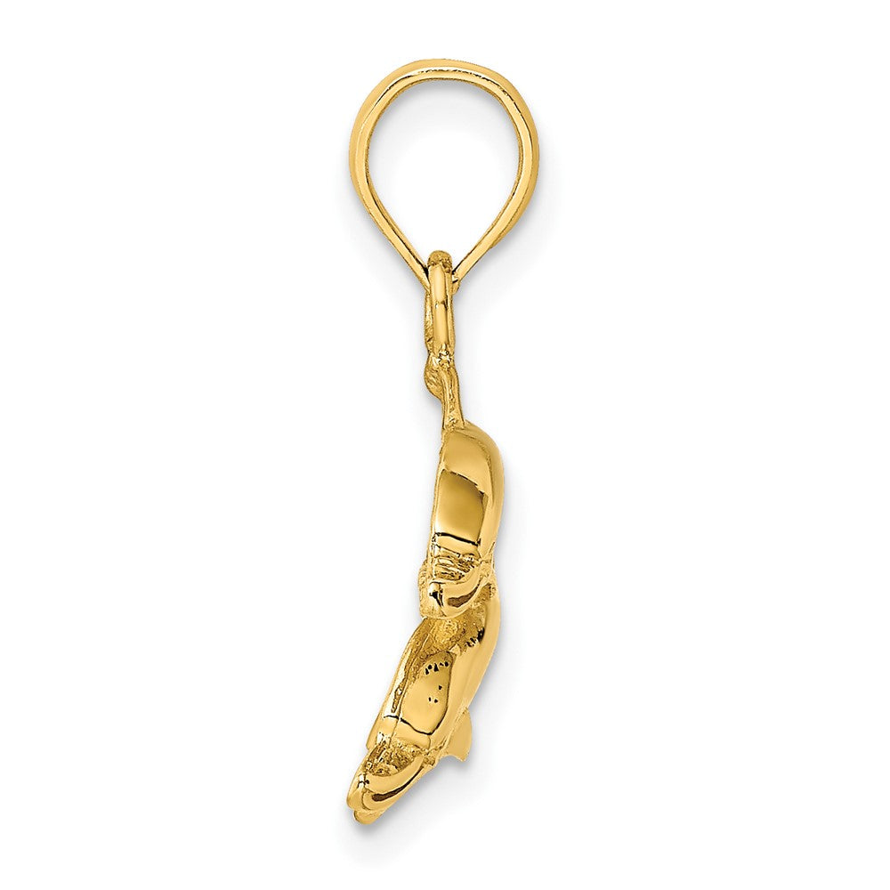 FJC Finejewelers 10 kt Yellow Gold 2-D Polished /Engraved Dolphins Charm 14 x 22 mm