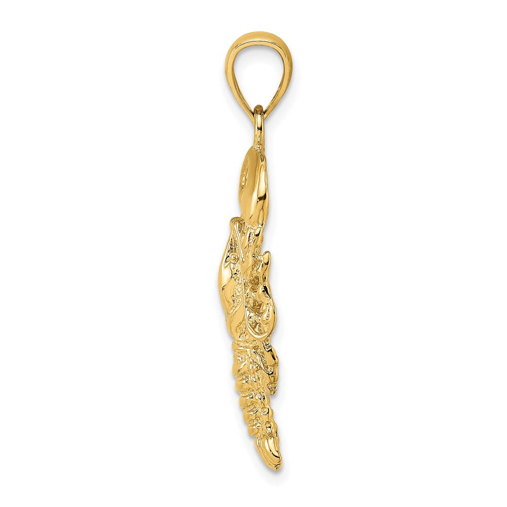 FJC Finejewelers 10 kt Yellow Gold 2-D Textured Maine Lobster Charm 25 x 15 mm