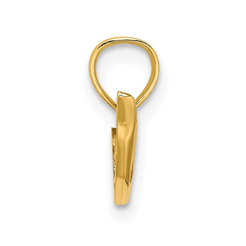 FJC Finejewelers 10 kt Yellow Gold Polished Mini Dolphin Charm 6 x 13 mm