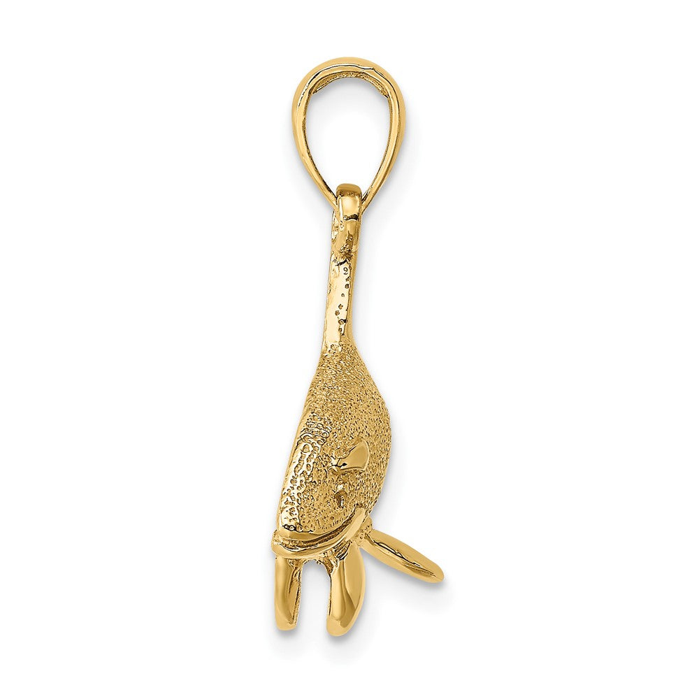 FJC Finejewelers 10 kt Yellow Gold 2-D Textured Killer Whale Charm 11 x 30 mm