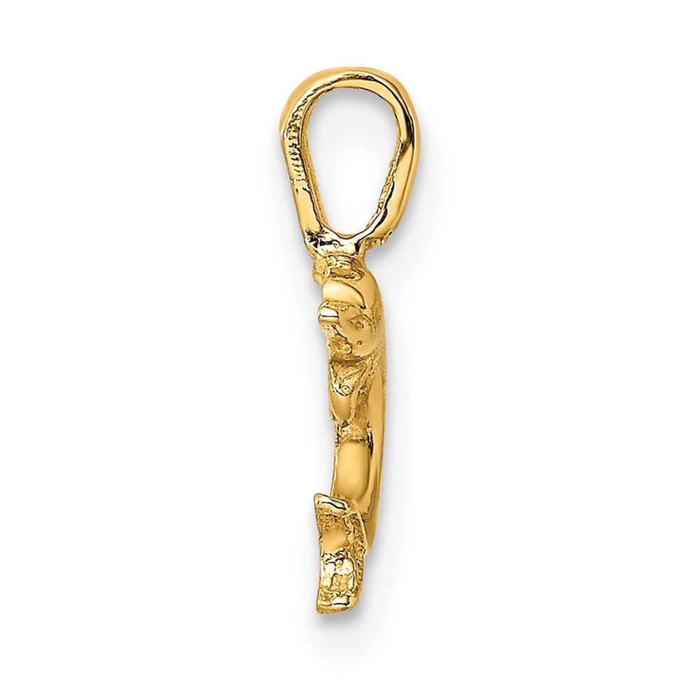 FJC Finejewelers 10 kt Yellow Gold Mini Jumping Dolphin with Fixed Bail Charm 13 x 7 mm