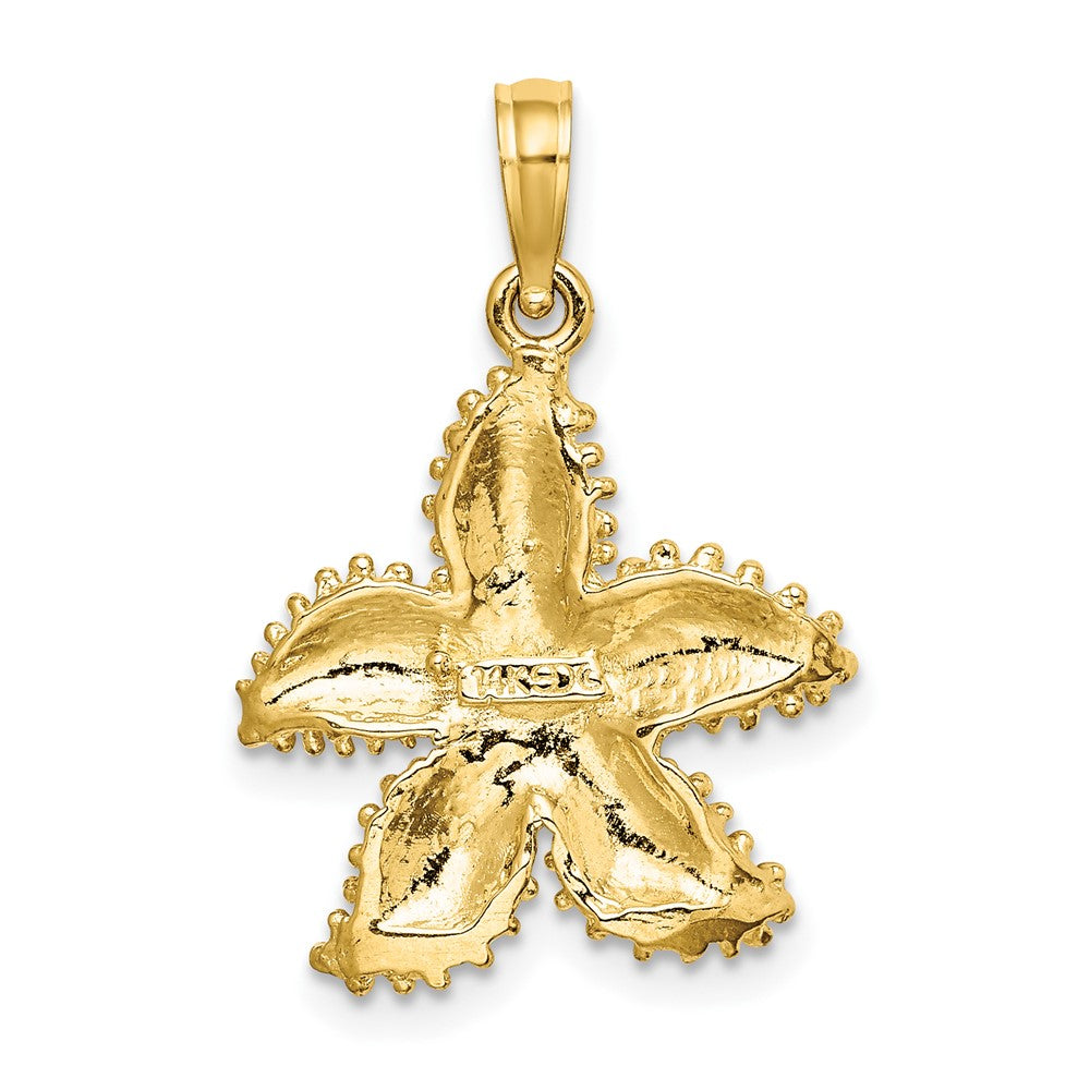 FJC Finejewelers 10 kt Yellow Gold Beaded Starfish Charm 18 x 12 mm
