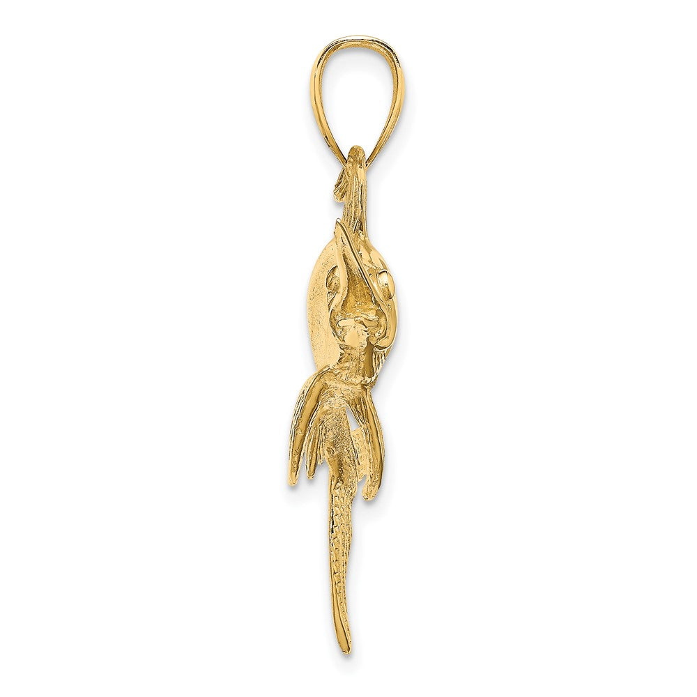 FJC Finejewelers 10 kt Yellow Gold 2-D Polished/Satin Swordfish Charm 23 x 57 mm
