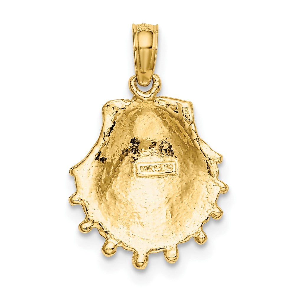 FJC Finejewelers 10 kt Yellow Gold Lion's Paw Shell Charm 13 x 13 mm