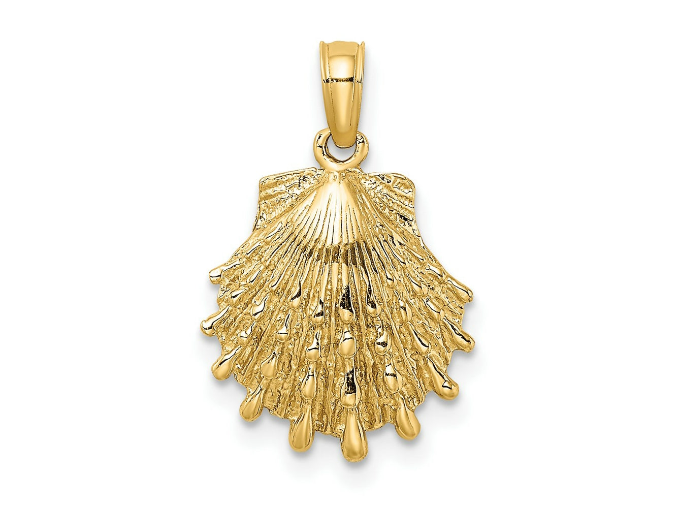 FJC Finejewelers 10 kt Yellow Gold Lion's Paw Shell Charm 13 x 13 mm