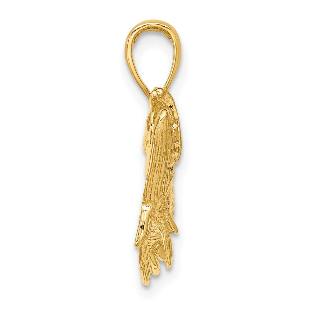 FJC Finejewelers 10 kt Yellow Gold Tarpon Fish with Open Mouth Charm 15 x 34 mm