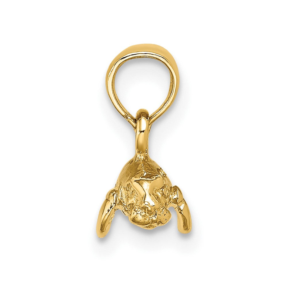 FJC Finejewelers 10 kt Yellow Gold 3-D Polished Mini Manatee Charm 5 x 12 mm