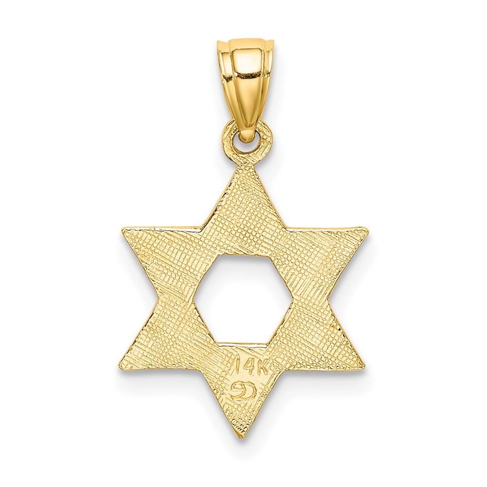 FJC Finejewelers 10 kt Yellow Gold Engraved Swirls Star Of David Charm 20 x 13 mm