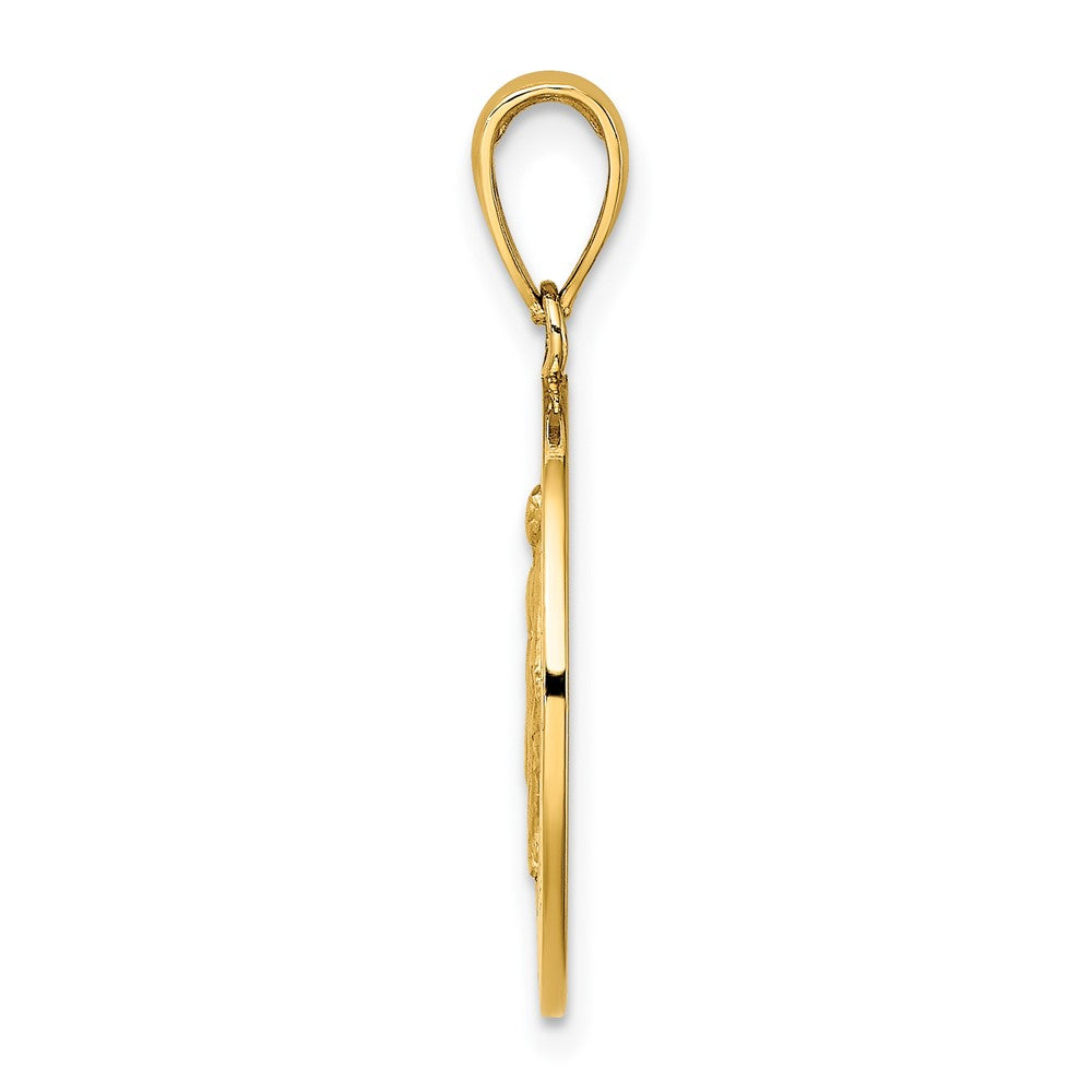 FJC Finejewelers 10 kt Yellow Gold Polished and Satin Miraculous Medal Charm 25 x 17 mm