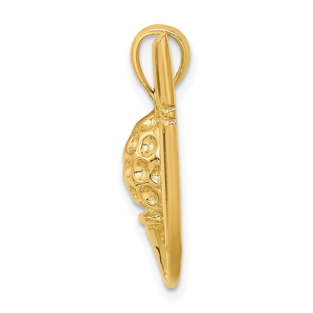 FJC Finejewelers 10 kt Yellow Gold 2-D Golf Club and Ball On Tee Charm 24 x 16 mm