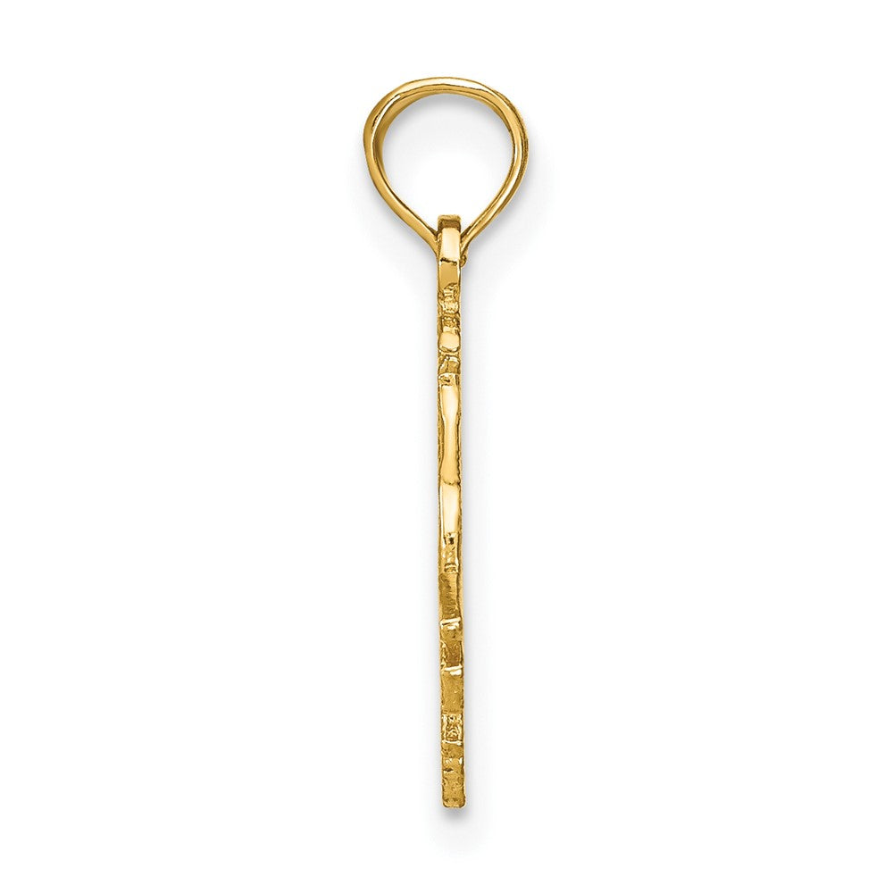 FJC Finejewelers 10 kt Yellow Gold CAPRICORN Zodiac Charm 17 x 16 mm