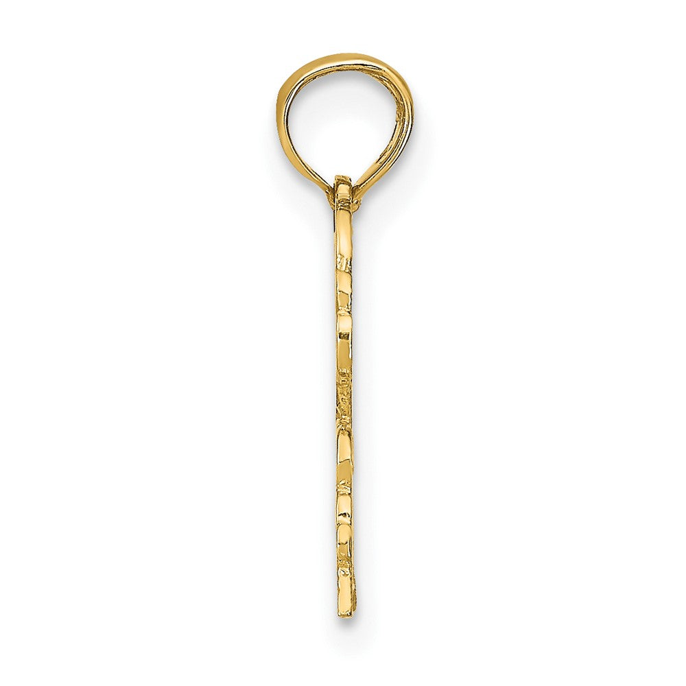 FJC Finejewelers 10 kt Yellow Gold CANCER Zodiac Charm 17 x 13 mm