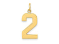 FJC Finejewelers 10 kt Yellow Gold Casted Large Polished Number 2 Charm 25 x 10 mm