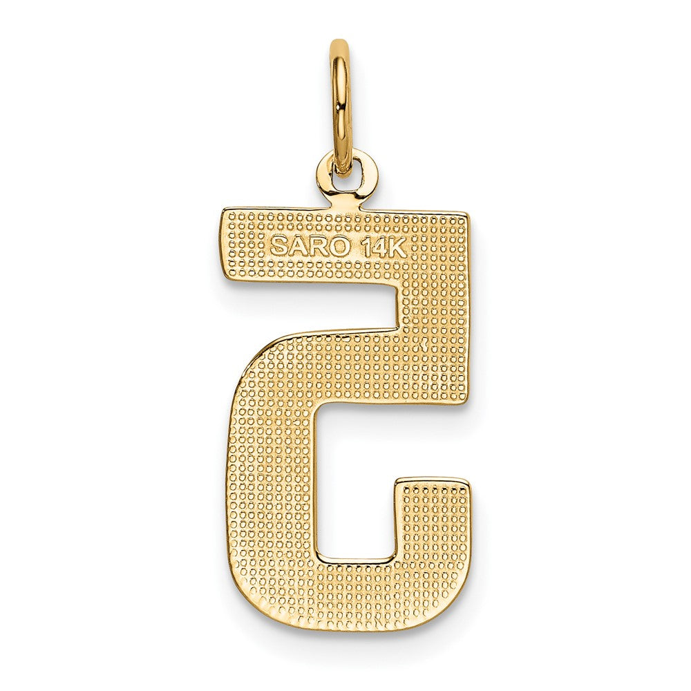 FJC Finejewelers 10 kt Yellow Gold Casted Large Polished Number 5 Charm 25 x 10 mm